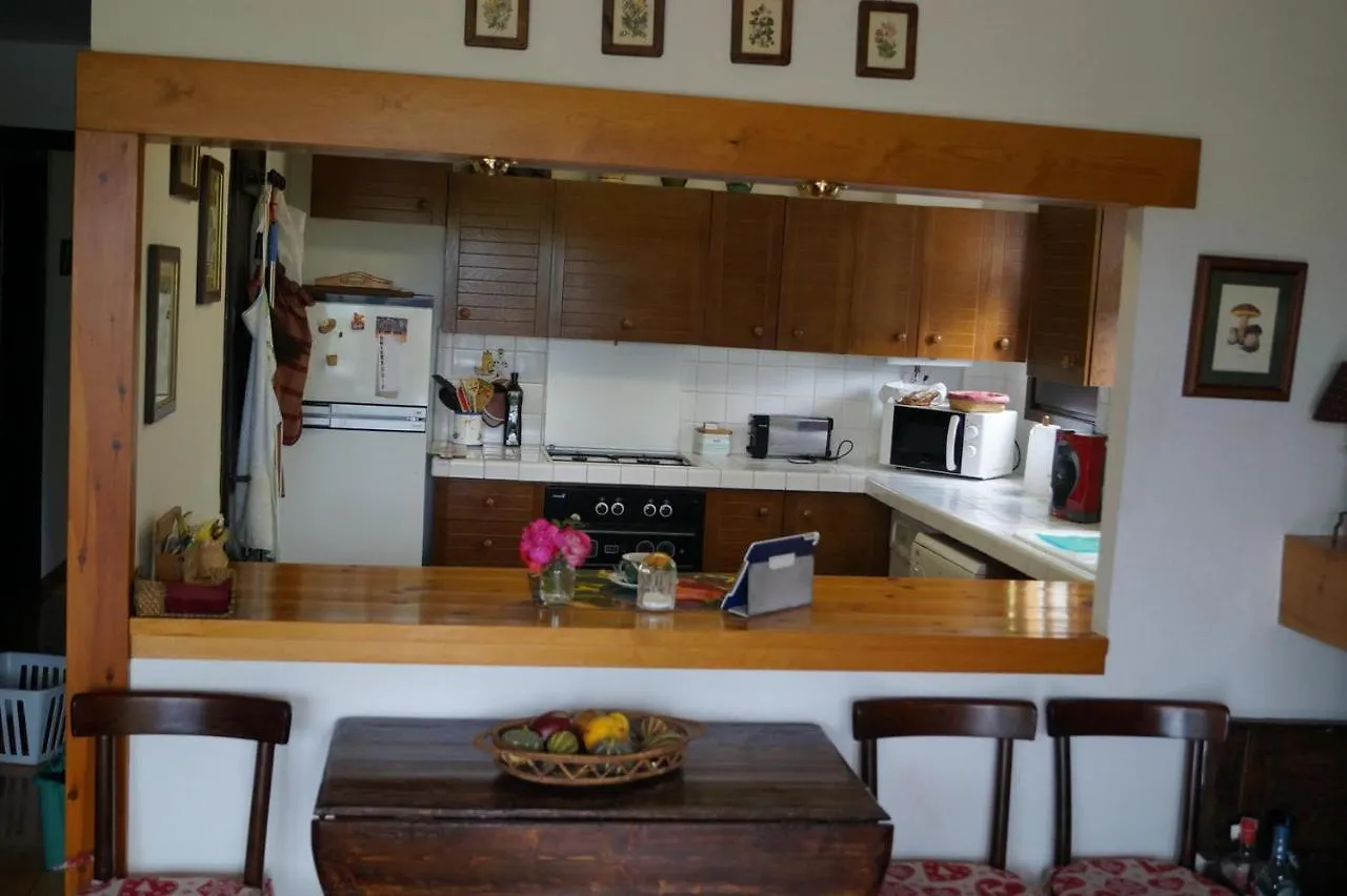 Apartamento 3 Habitaciones En Llivia