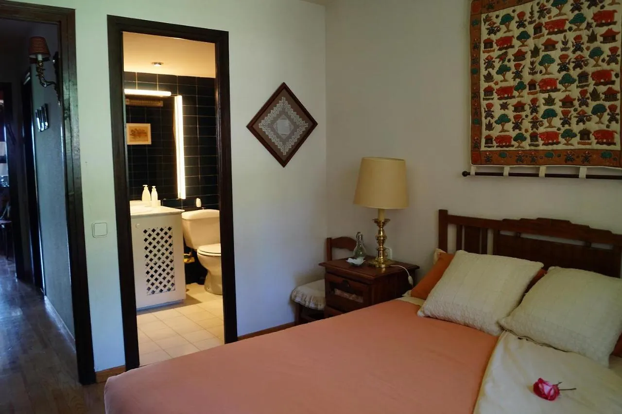Apartamento 3 Habitaciones En Llivia